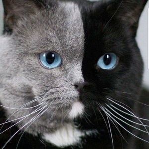 DISRESPECTFUL BEHAVIORS...